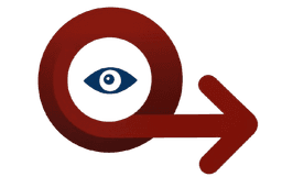 Vision Icon